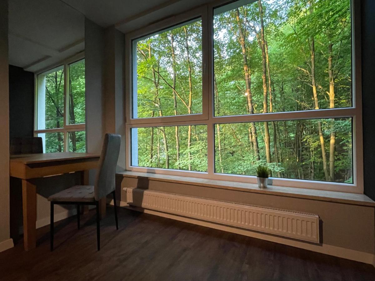 Apartament Kurort Kozubnik - Taras Nad Potokiem Porabka Exterior photo